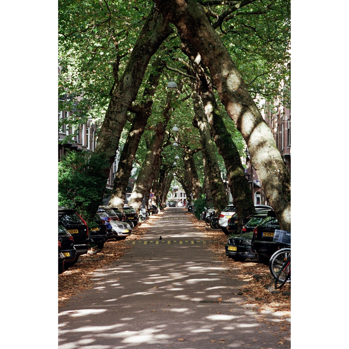 Amsterdam Lomanstraat