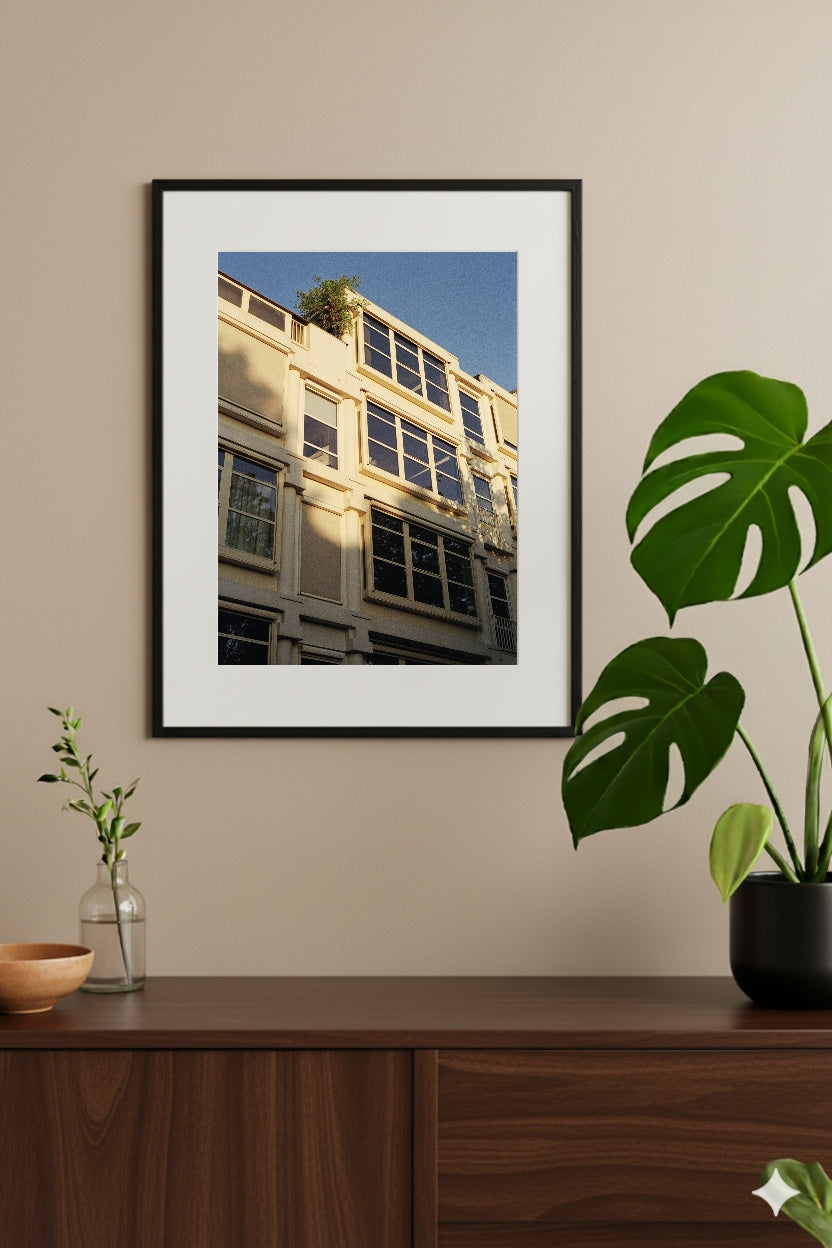 Amsterdam The New Old