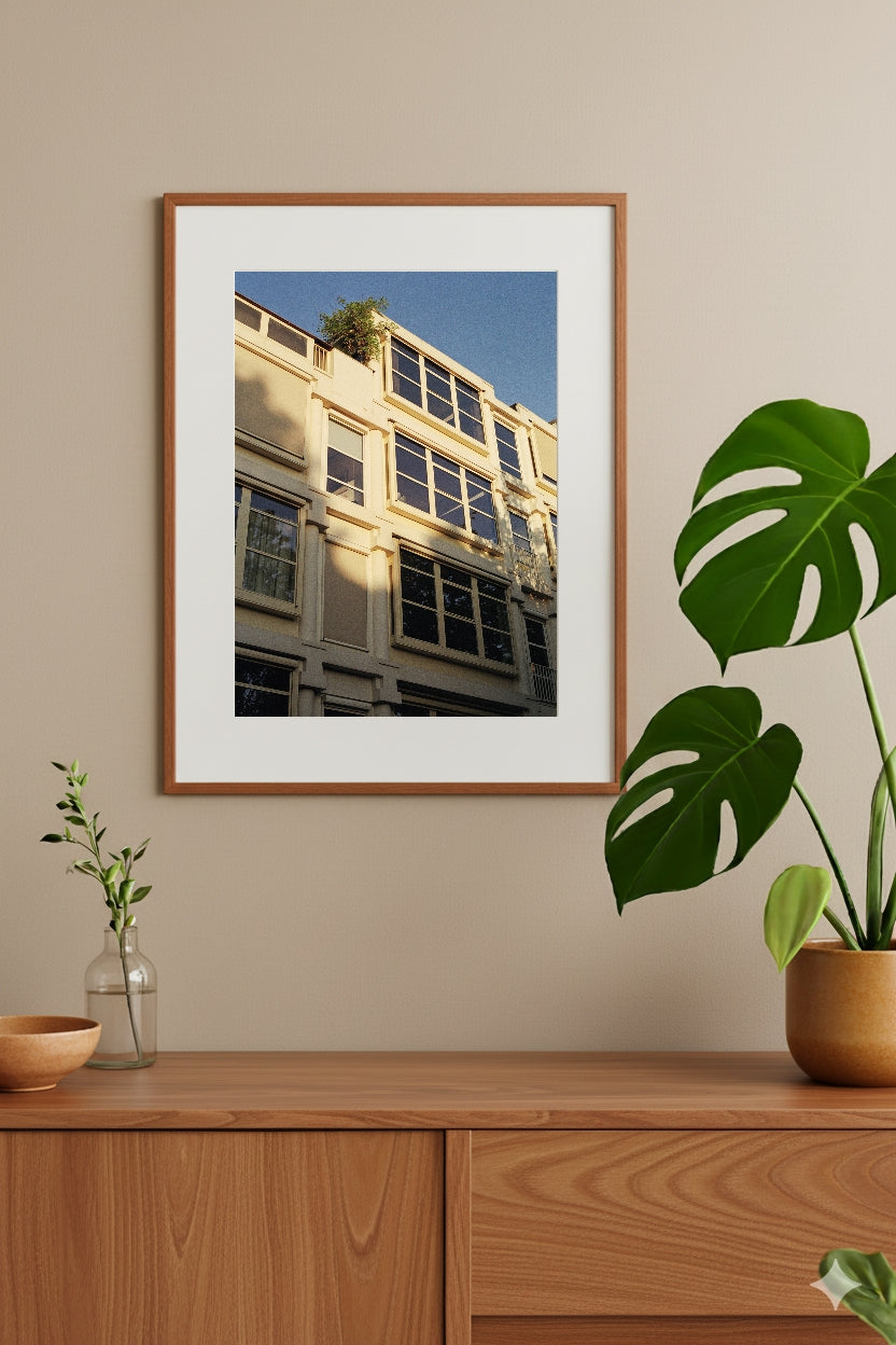 Amsterdam The New Old