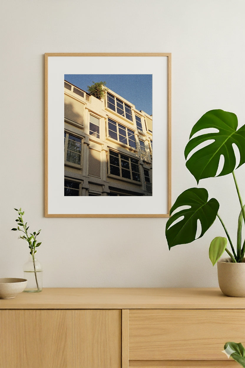 Amsterdam The New Old