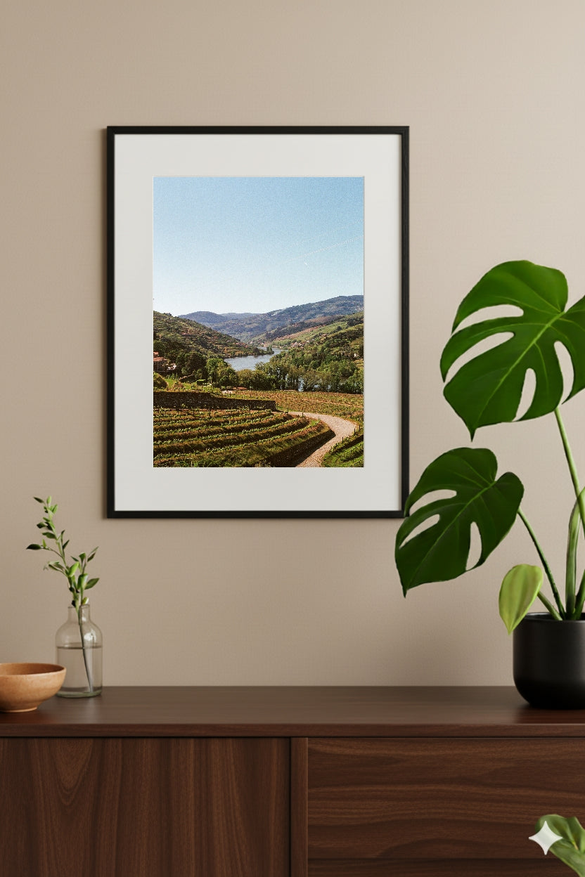 Portugal Douro Wines