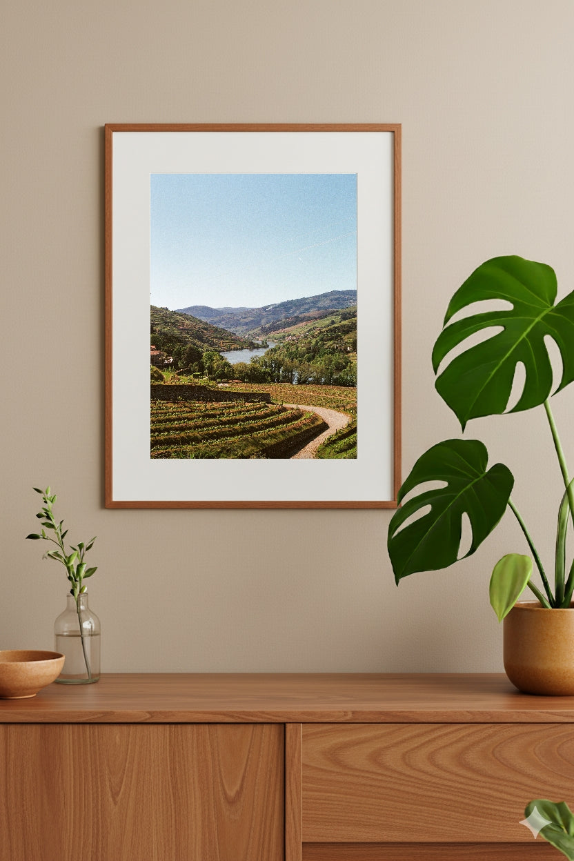 Portugal Douro Wines