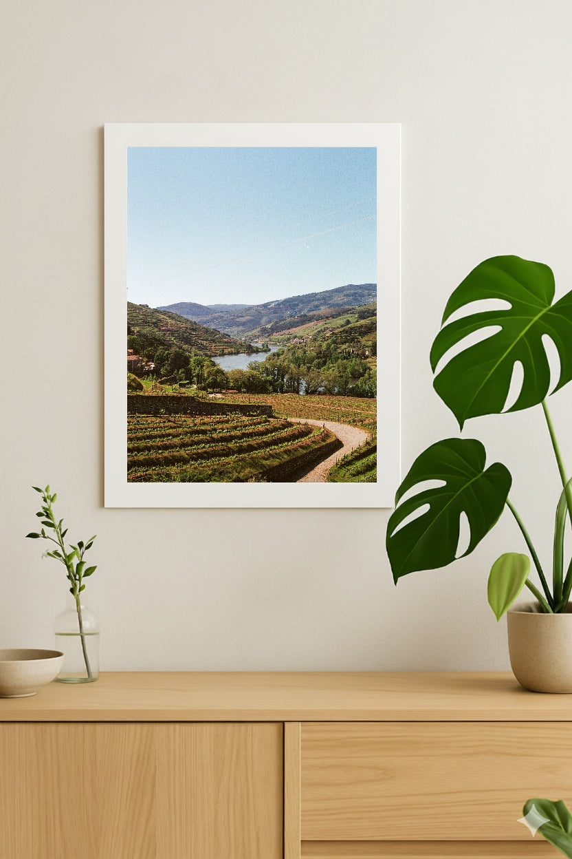Portugal Douro Wines