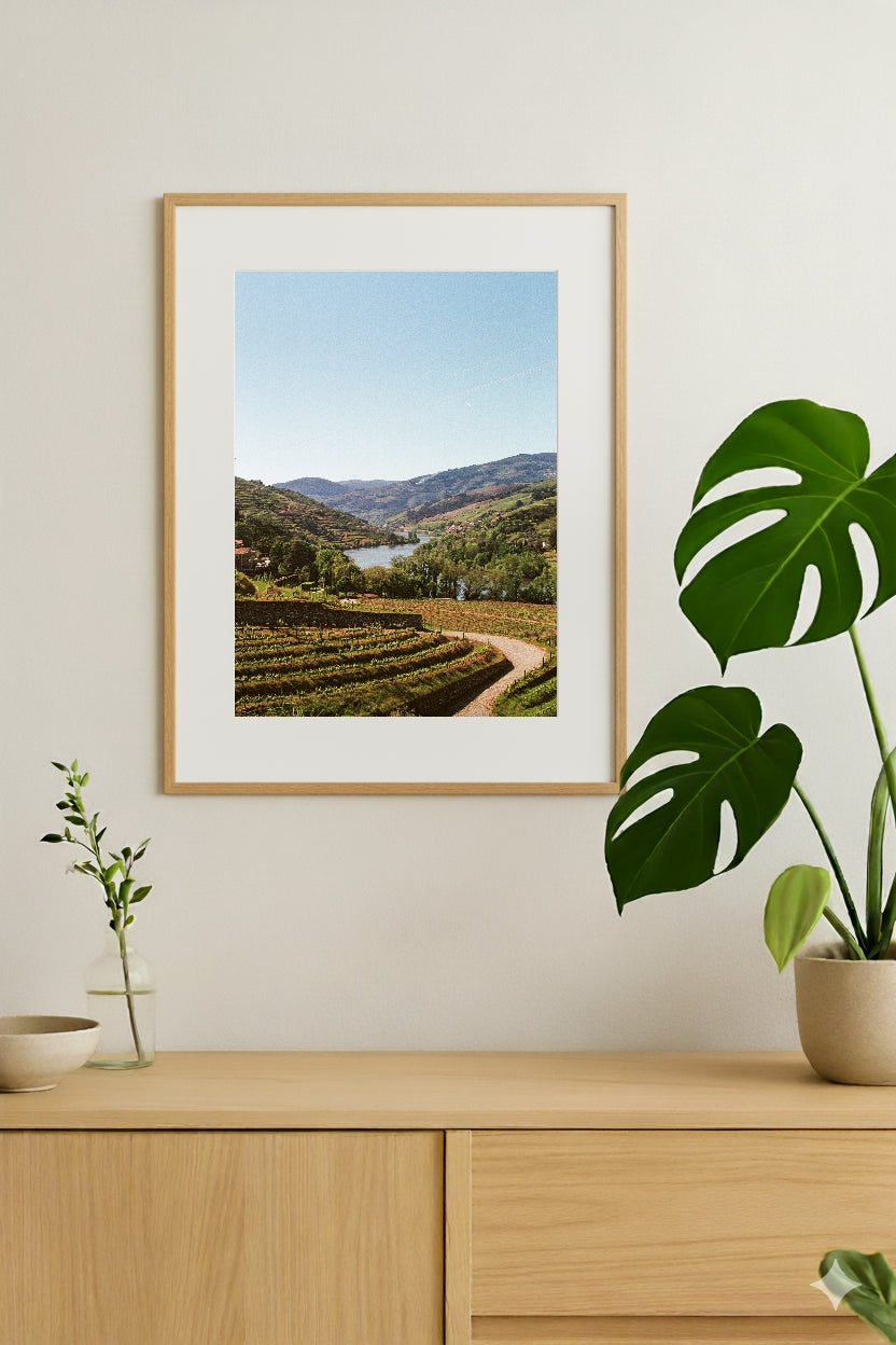 Portugal Douro Wines